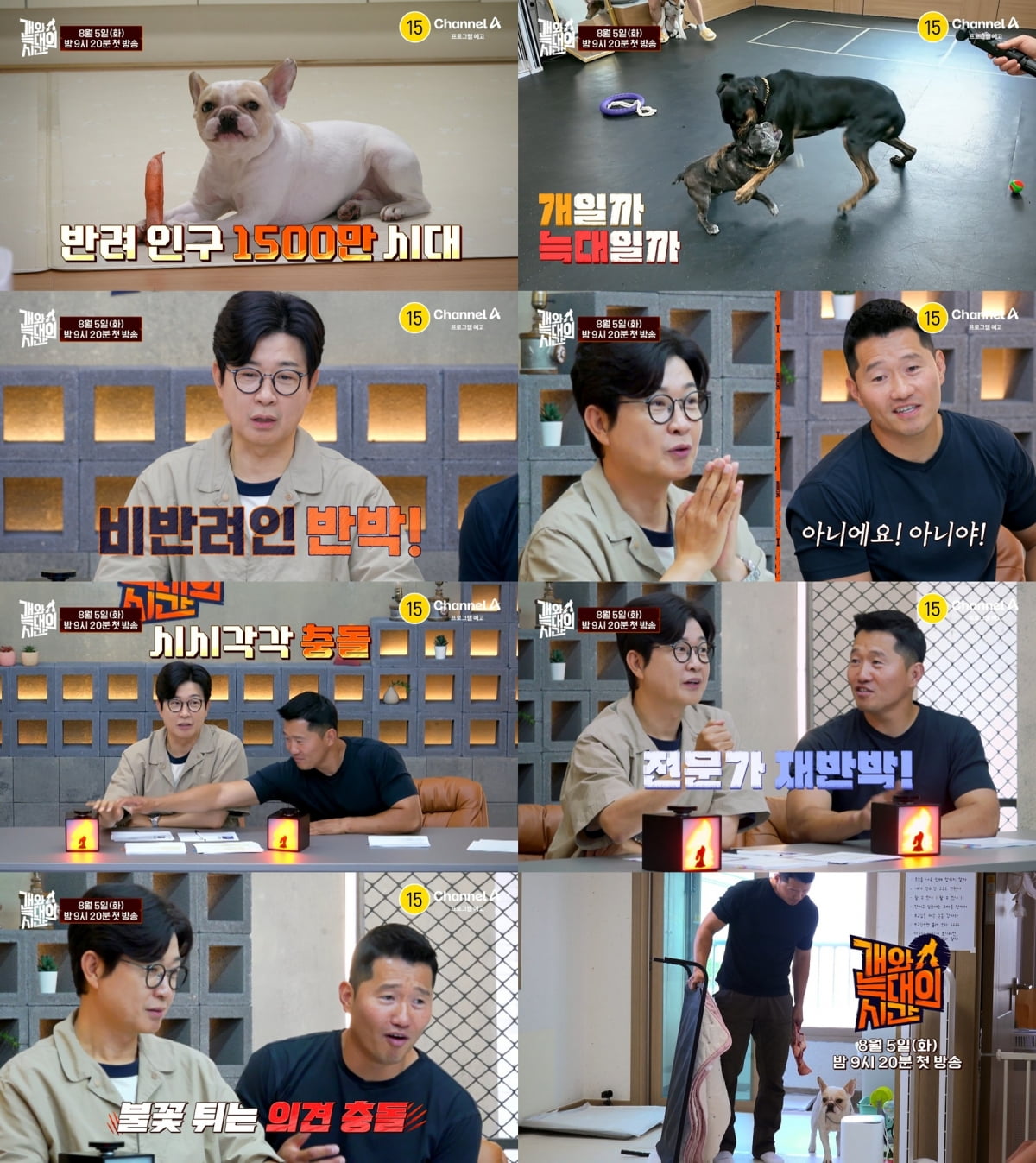 강형욱, 녹화 중 결국 충돌했다…갑질 논란 후 복귀인데, MC 의견에 반박 ('개늑시')