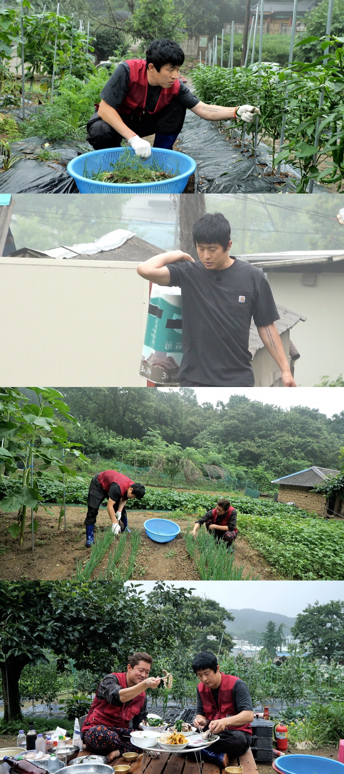 흙심인대호