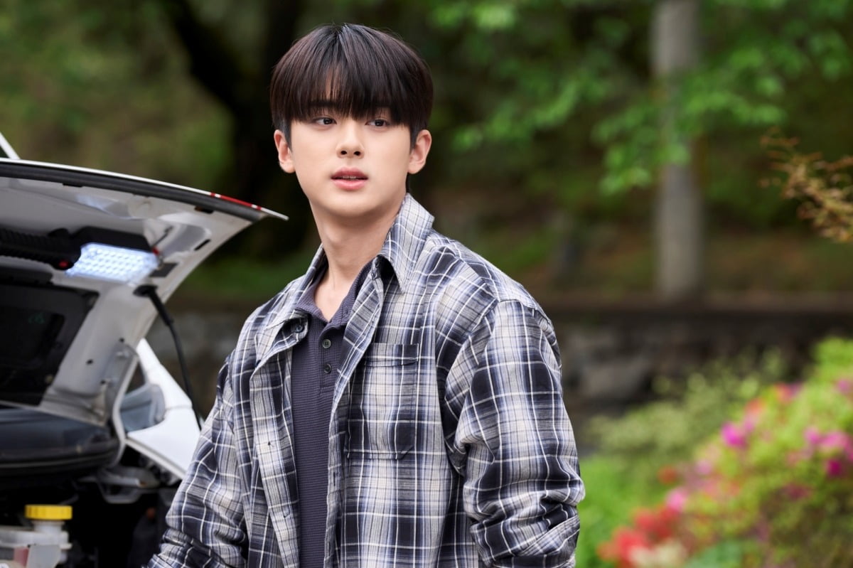 사진=tvN