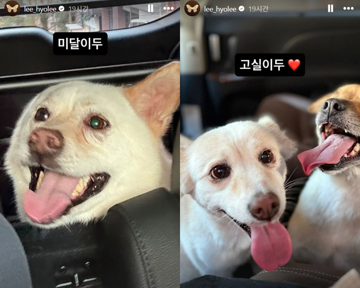 /사진 = 이효리 인스타그램