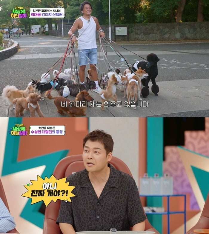 사진제공=SBS