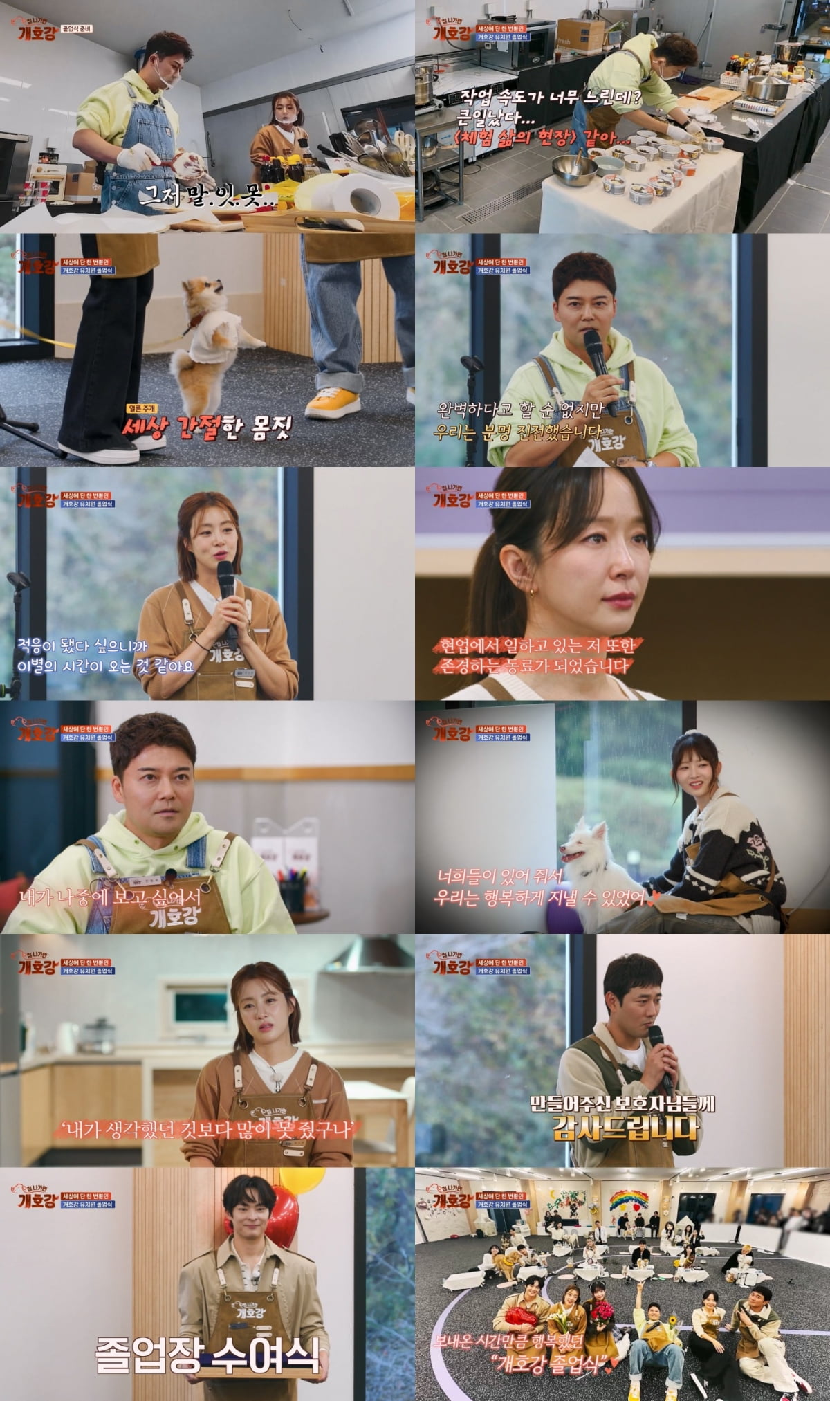 [종합] 전현무, 3000평 개 유치원 운영 접었다…"완벽하진 않았지만 진전" ('개호강')