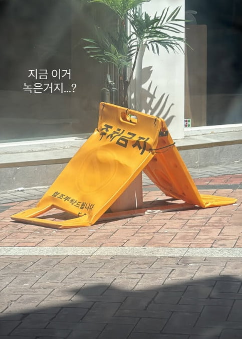 사진=이솔이 SNS