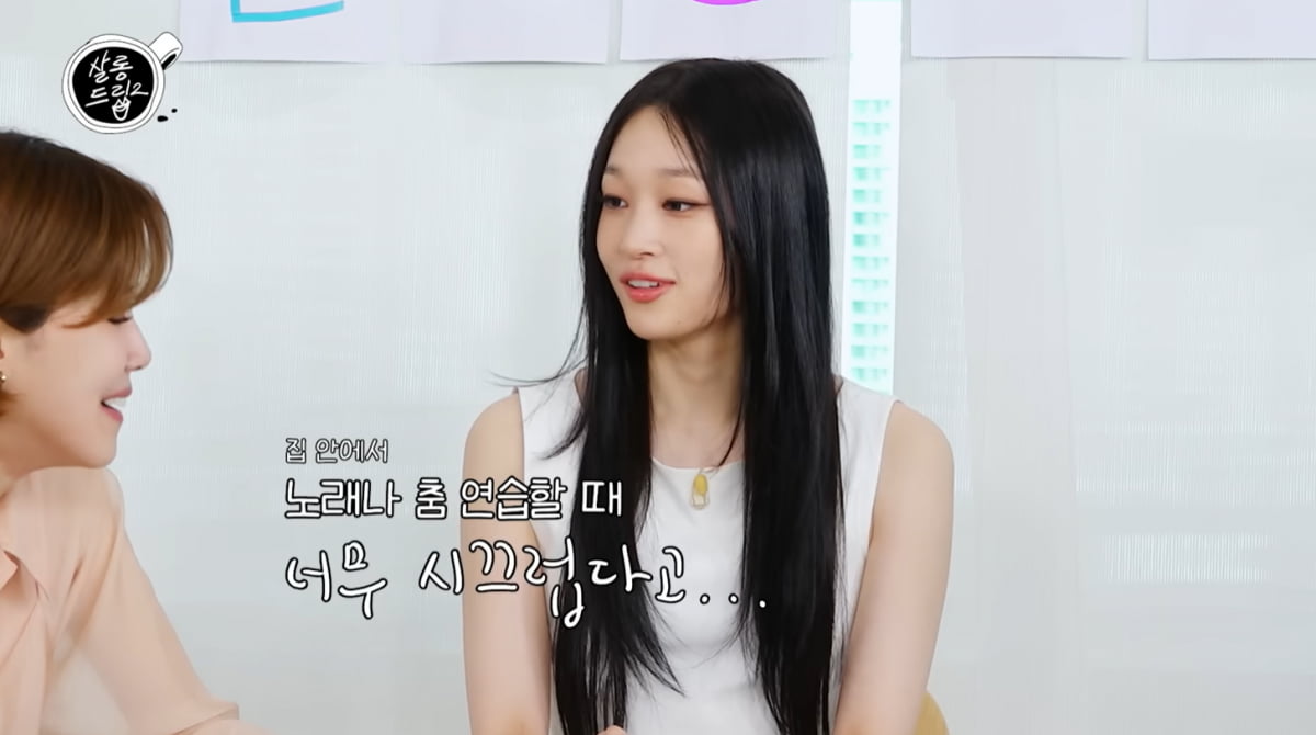 '신세계家' 애니, 아이돌 데뷔하려 아이비리그 입학했다…"4년간 비대면 연습"('살롱드립2')
