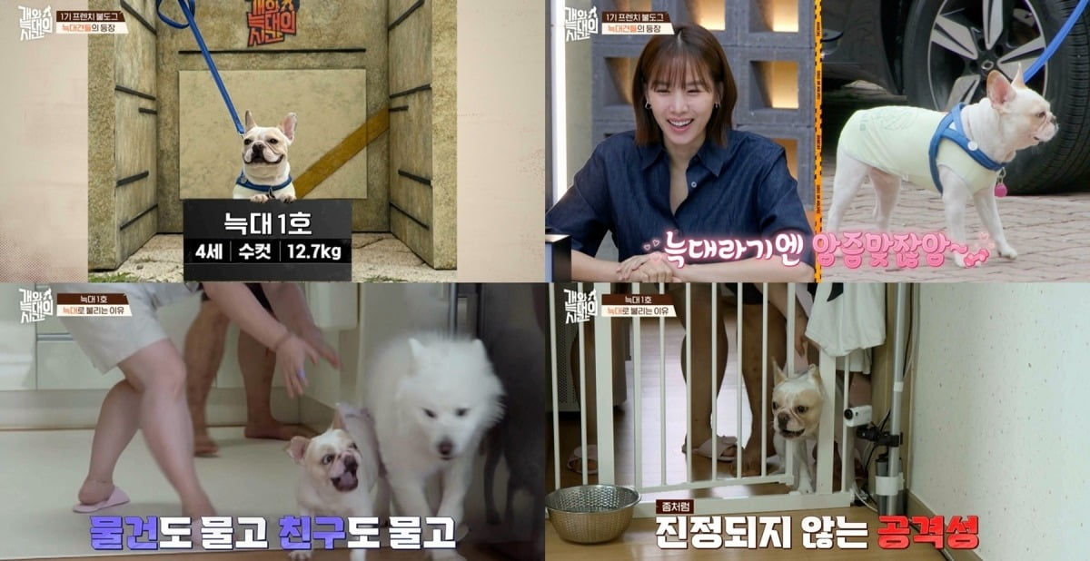 사진=채널A