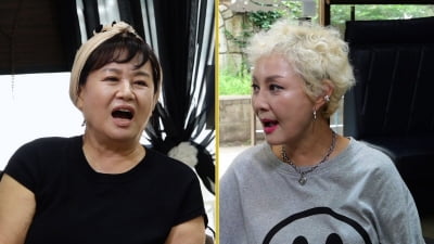 박원숙, 시세 차익 '집 장사' 루머 퍼졌다…주식 1억 날리고 부동산 무식자인데('같이 삽시다')