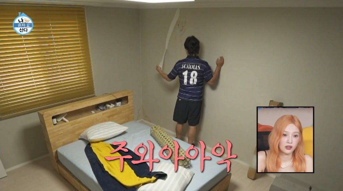 사진=MBC '나 혼자 산다' 캡처