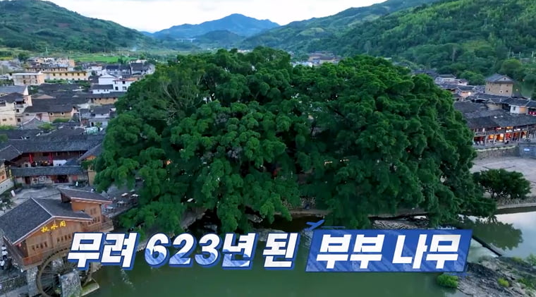 김준호, ♥김지민과 결혼 직전 '위고비' 말고도 한 일 있었다…"행운 깃들 듯"('독박투어4')