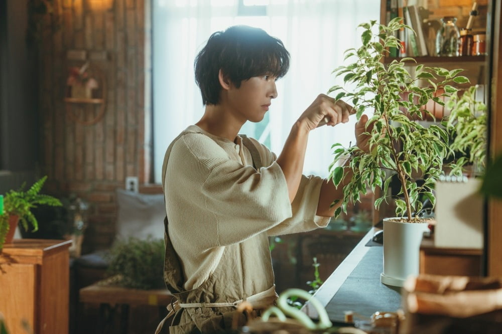 사진제공=JTBC