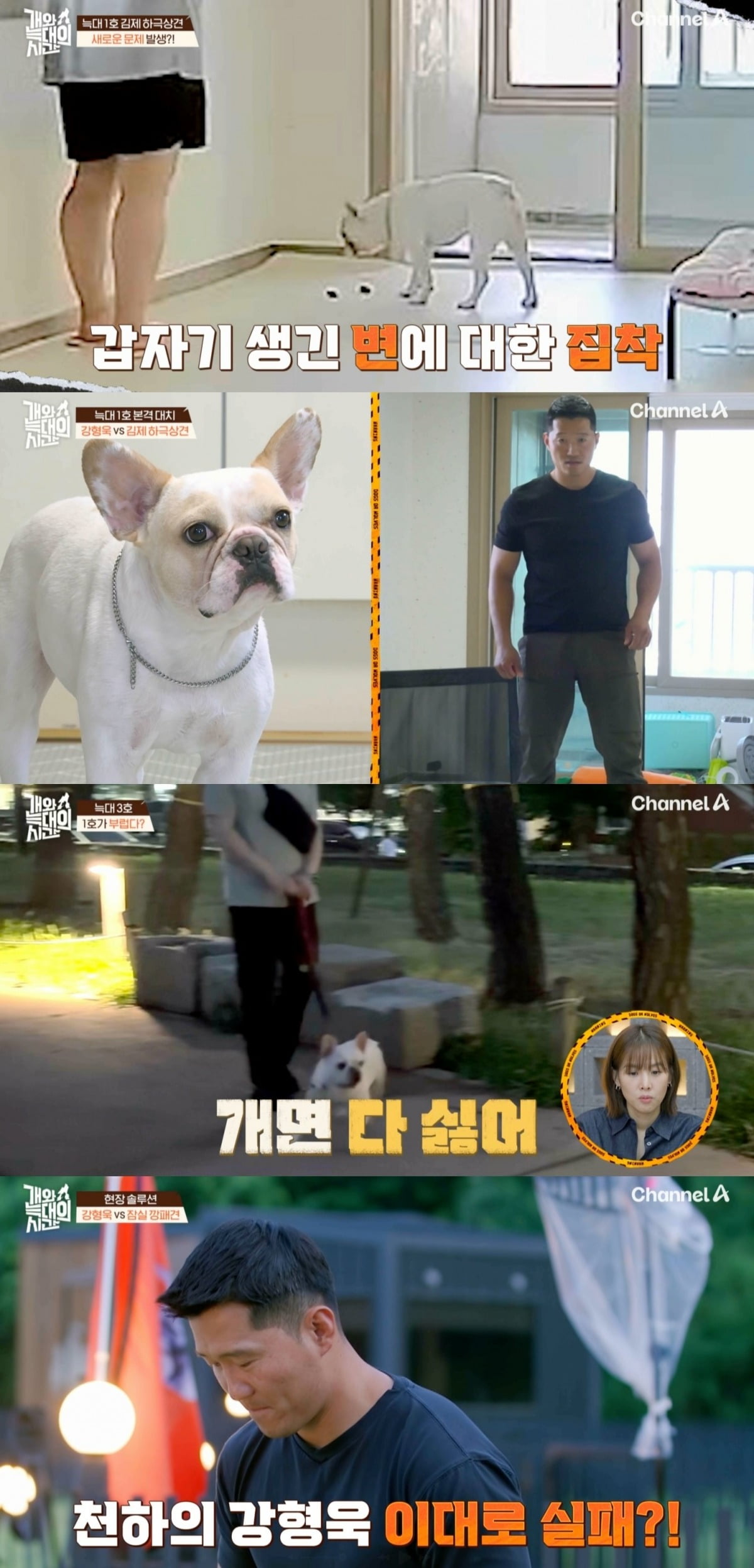 사진=채널A