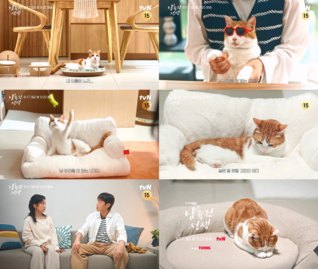 / 사진= tvN