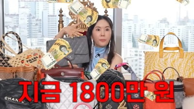 장영란, 2번 든 C사 명품백 "400→1800만원" 깜짝 ('A급 장영란')