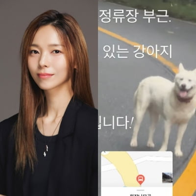 "너무 위험해"…원더걸스 선예, '로드킬' 마주할 뻔한 아찔한 상황