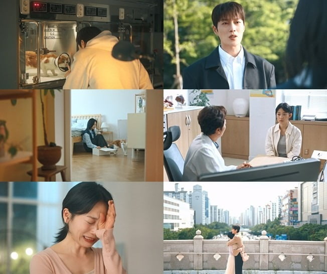 사진='냥육권 전쟁' 캡처
