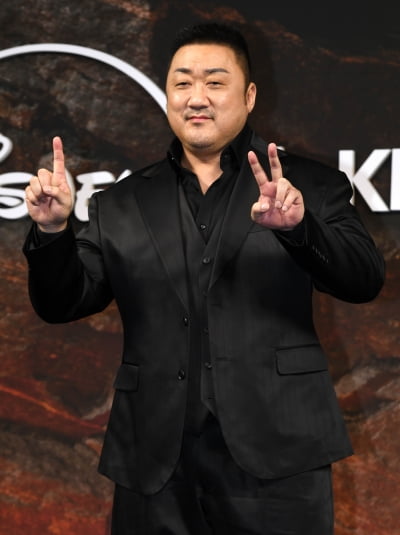 마동석, 동양 히어로물 호랑이...9년만에 드라마 감사[TEN포토+]