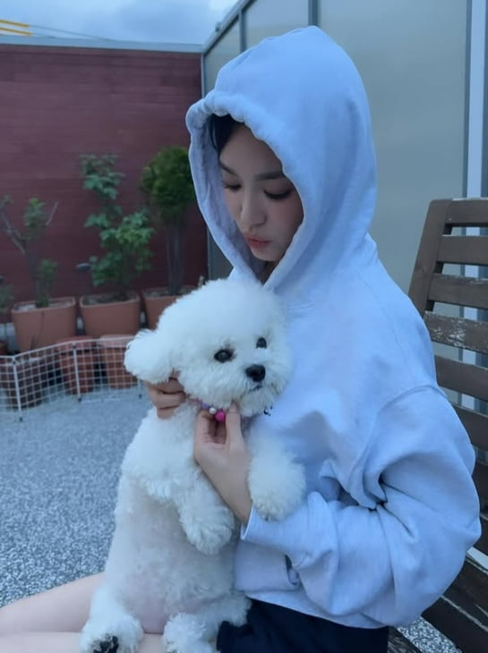 사진=송혜교 SNS