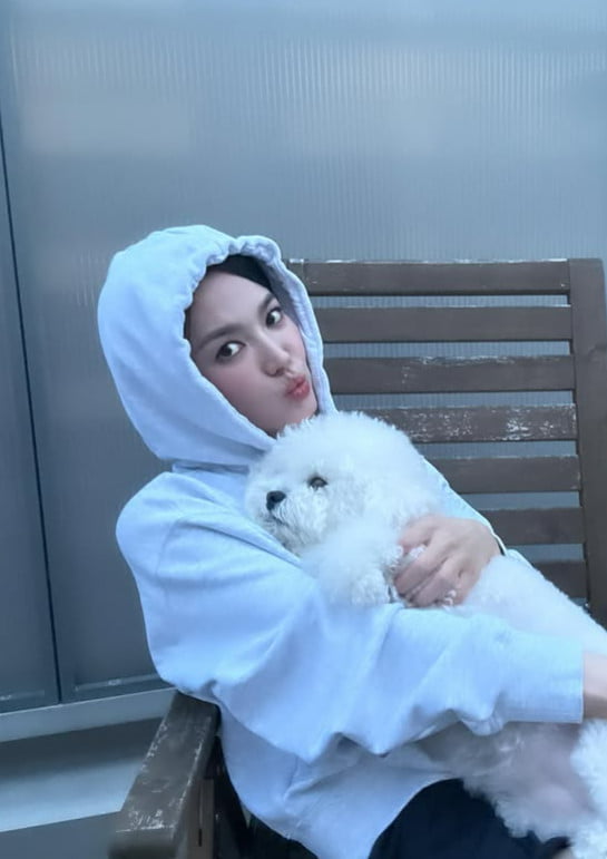 사진=송혜교 SNS
