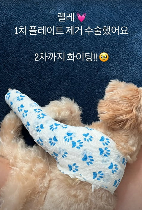 사진=한예슬