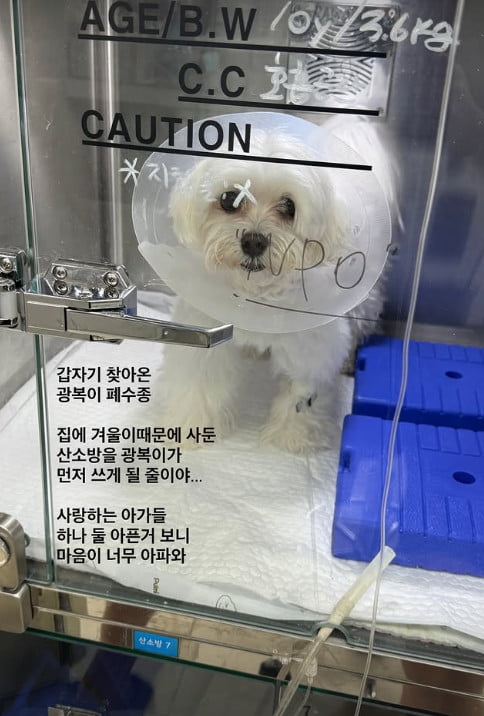 사진=이솔이 SNS