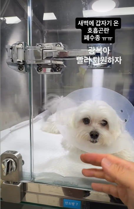 사진=박성광 SNS