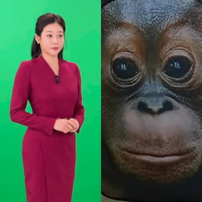현영 아들, 침팬지 데리고 학교 다닌다…'교내 인싸' 따 놓은 당상