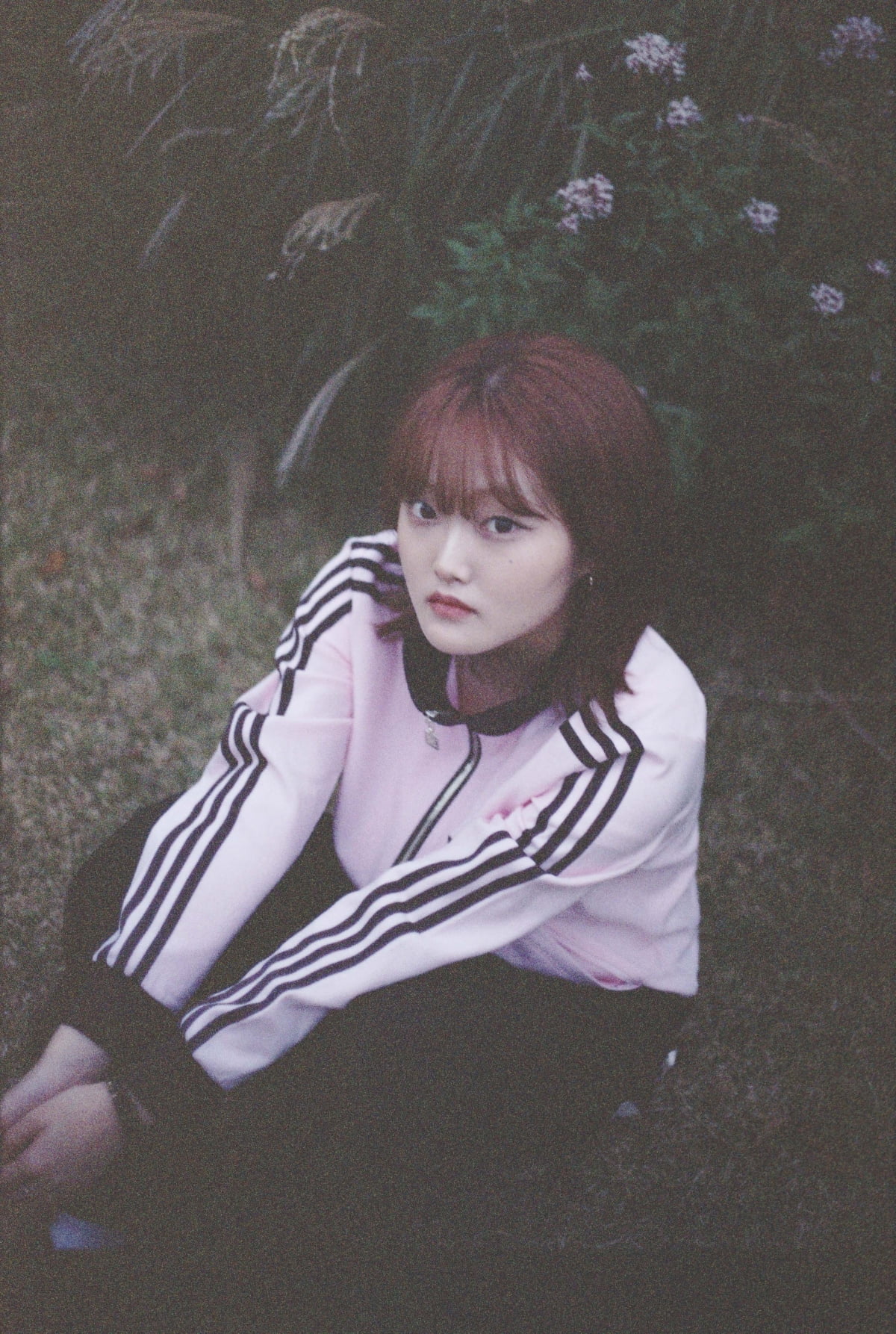 사진 제공 = pacific records(퍼시픽 레코드)