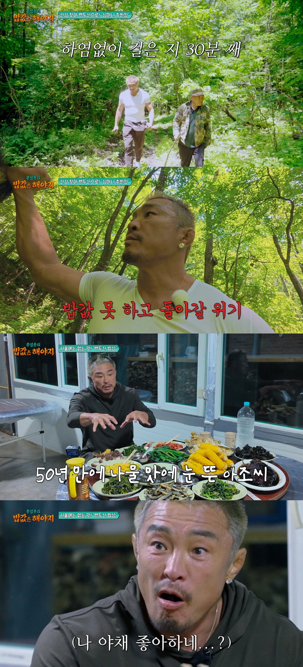 '야노시호♥' 추성훈, 50세에 심마니 됐다…"생각보다 쉽지 않아" ('밥값은')
