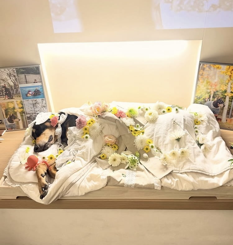 배정남, ‘근육암’ 딸 떠나보내…“아빠가 많이 사랑해” 추모