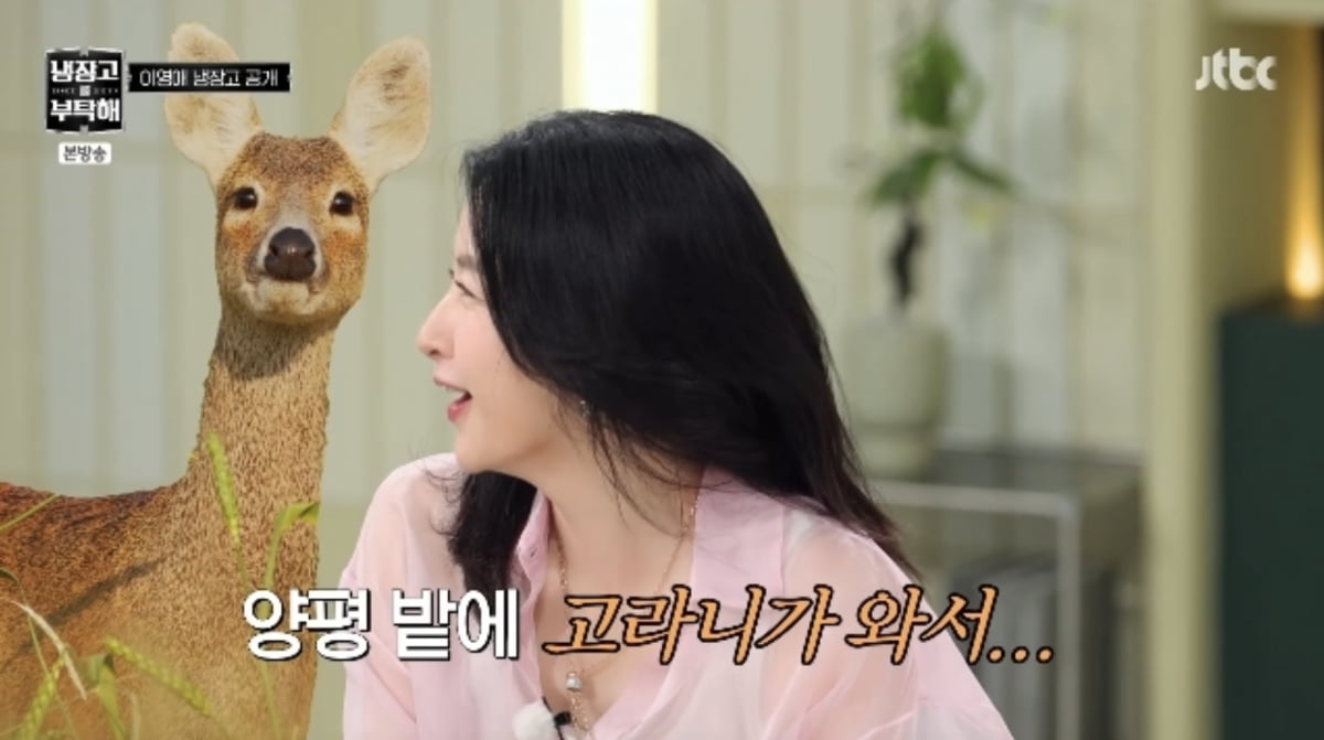 사진=JTBC 예능 '냉장고를 부탁해'