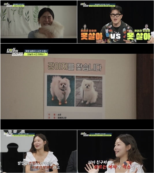 '38세 미혼' 송해나, ♥전남친 폭로했다…"생일파티서 다른 여자와 키스" ('탐비')