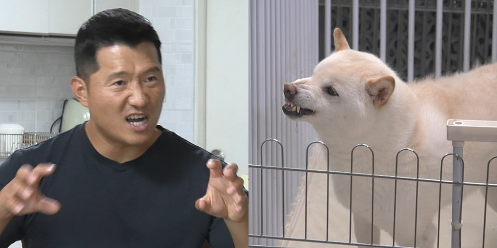 사진제공=채널A