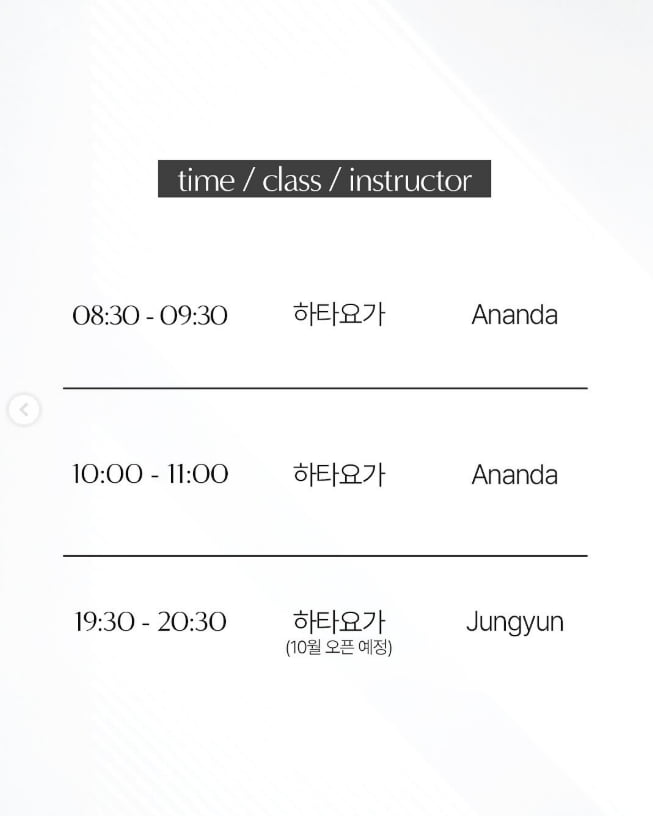 /사진 = 아난다 효리 캡처