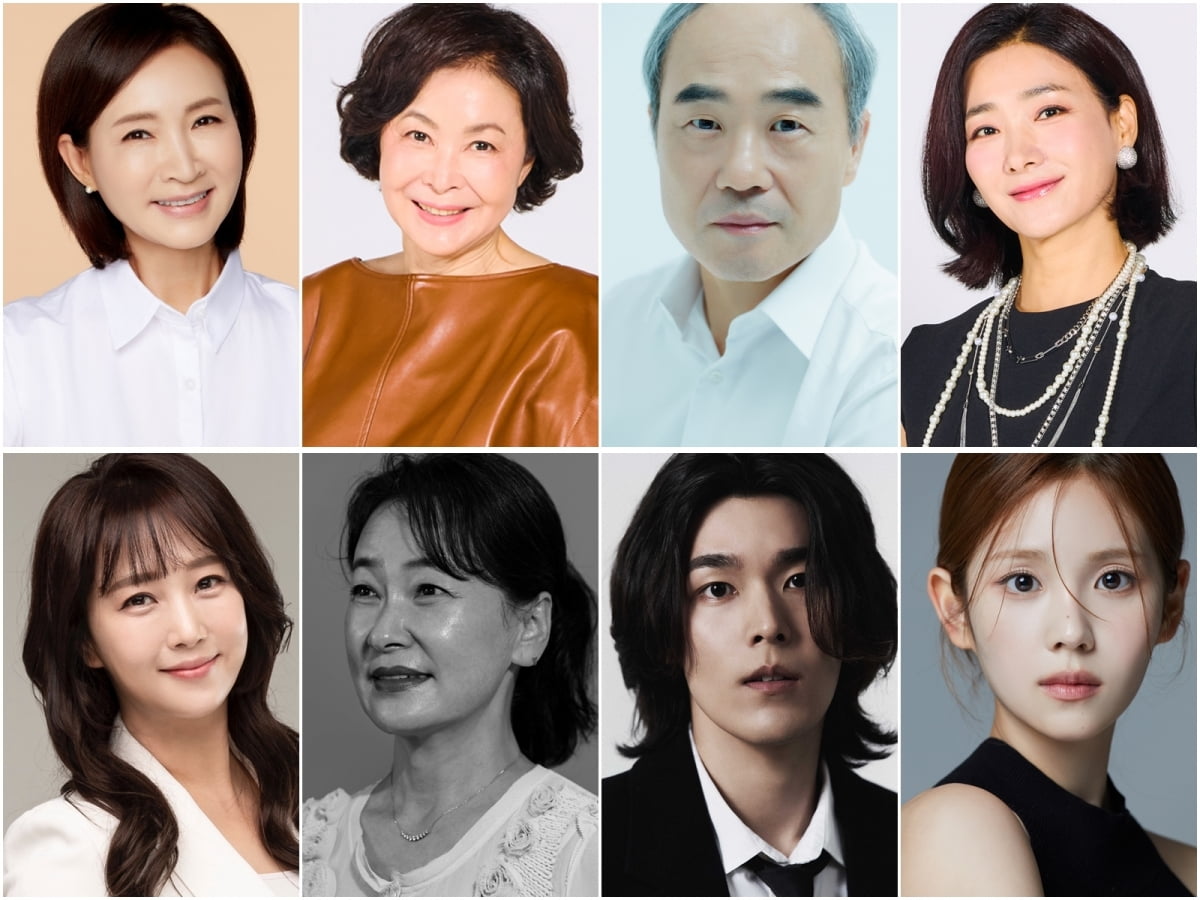 '65세 돌싱' 정애리, 기쁜 소식 전했다…정자센터 야망 가진 병원장, '별난 아빠들' 합류