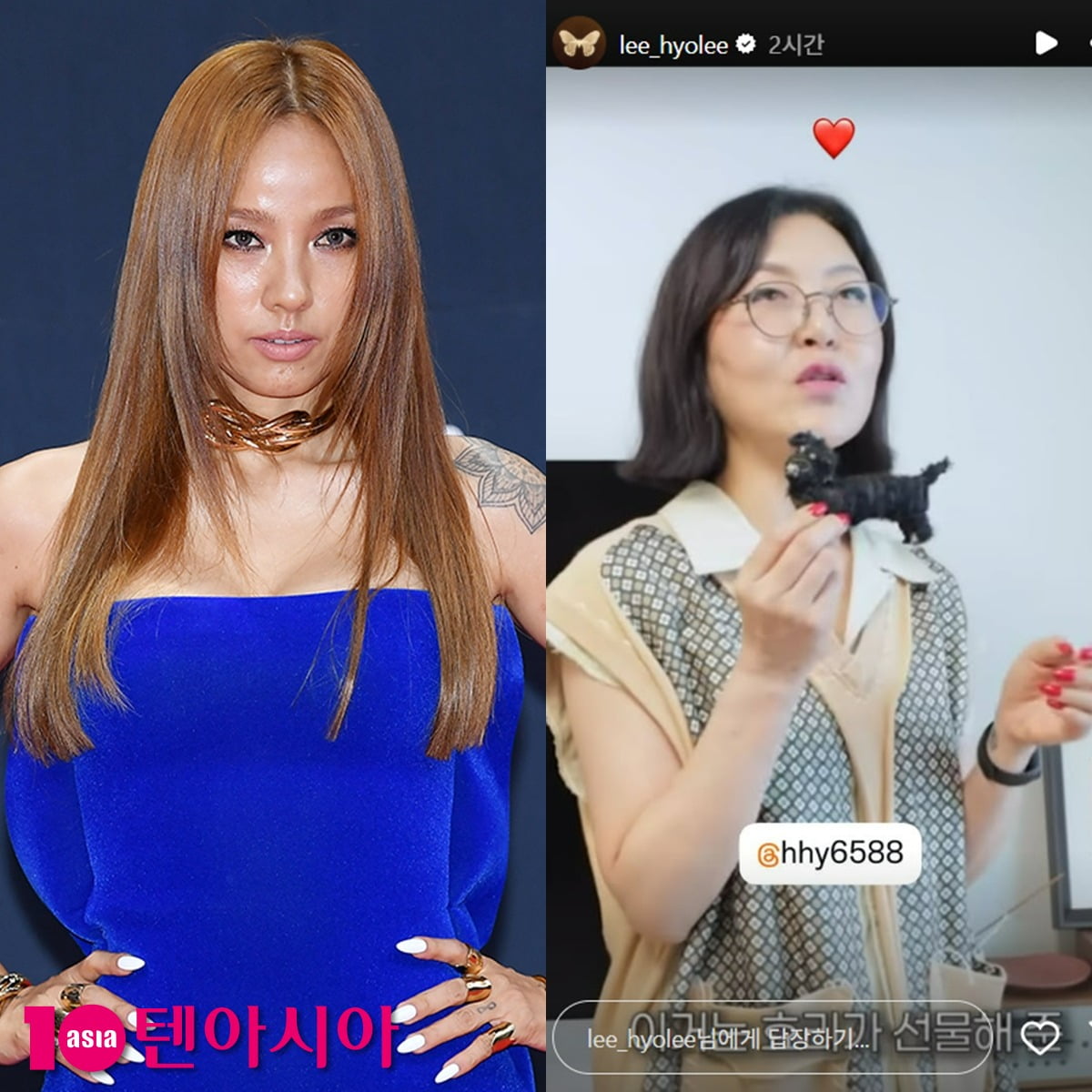 /사진 = 텐아시아 사진DB-이효리 인스타그램