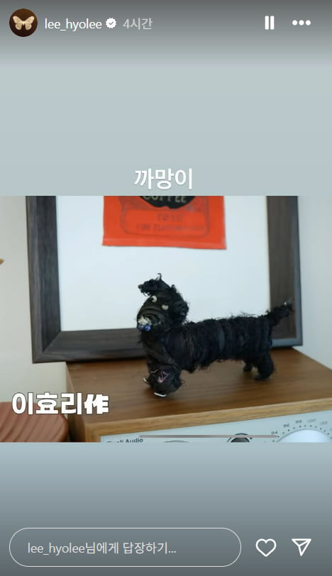 /사진 = 이효리 인스타그램