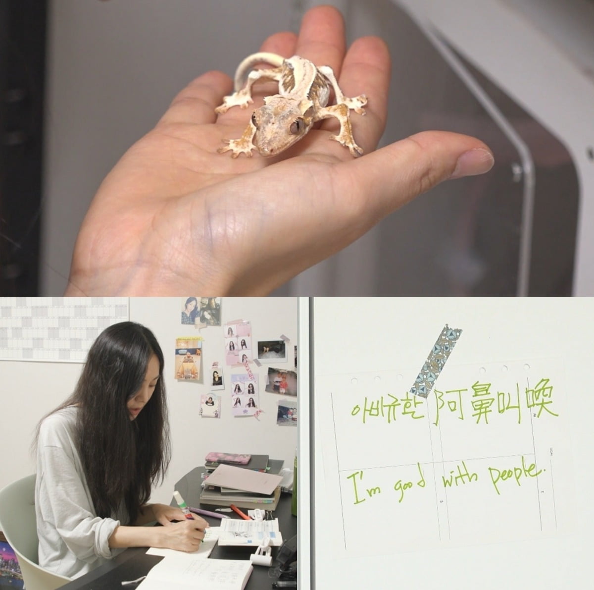사진=MBC