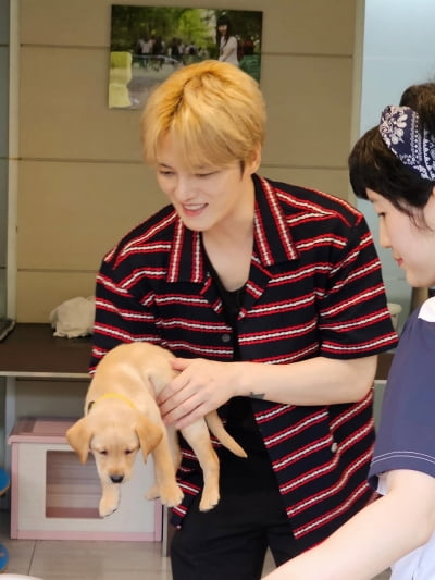'재산 1조설' 김재중, 나이 39세에 숨기지 못하는 귀여운 미소…'누가 댕댕이야'