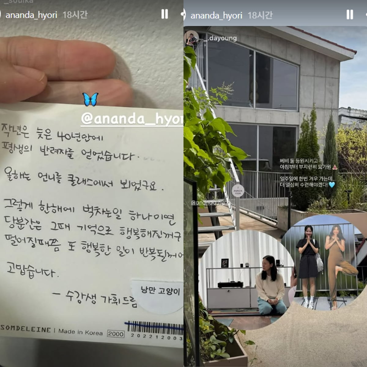 /사진 = 아난다 효리 캡처