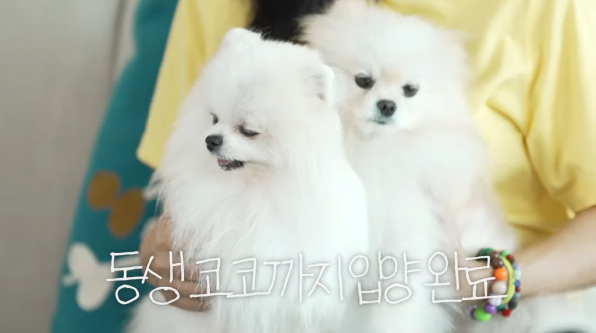 사진=고소영 유튜브