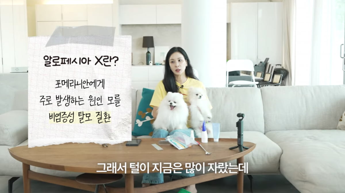 사진=고소영 유튜브