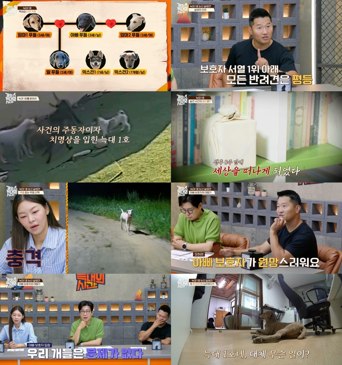 사진제공=채널A
