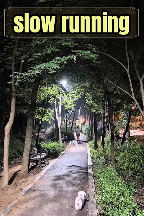 사진=수지 씨 SNS
