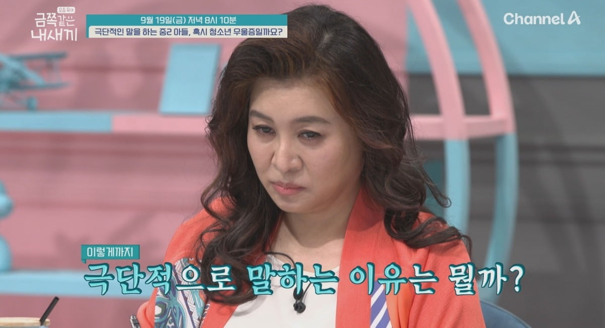사진제공=채널A