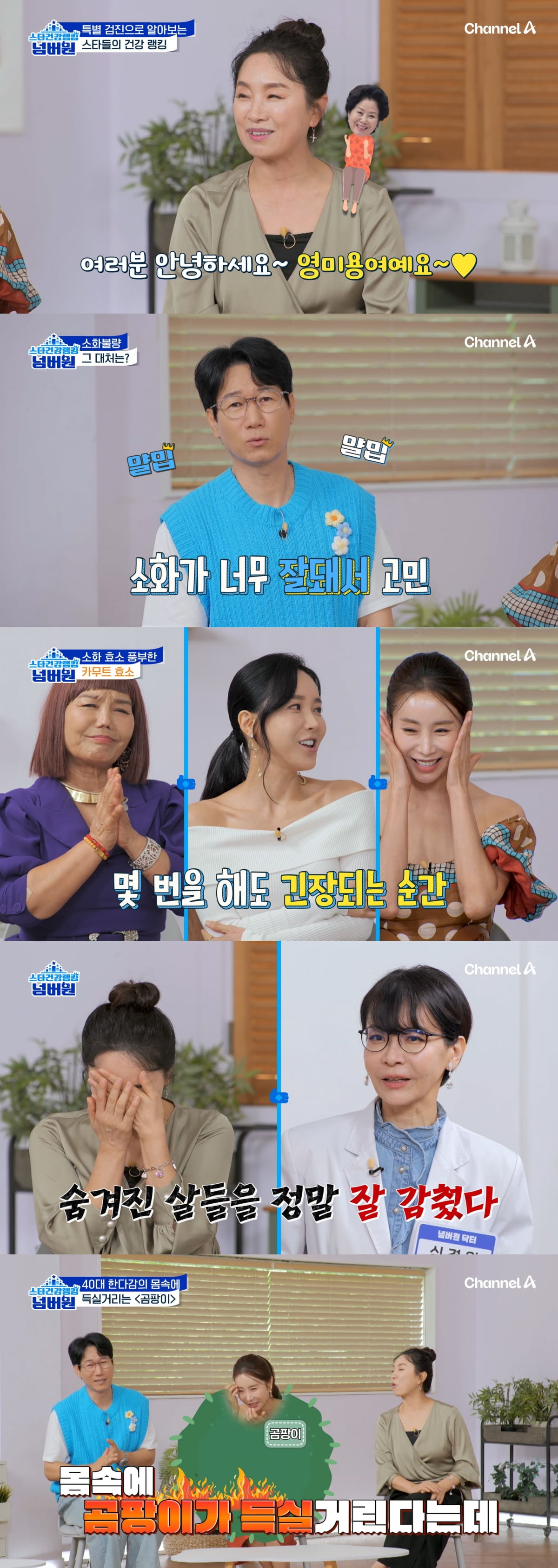 스타건강랭킹 넘버원