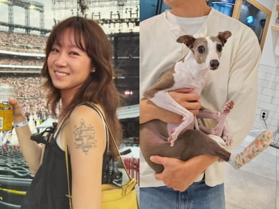'케빈오♥' 공효진, 반려견 안타까운 근황 전했다…"발톱 뽑히듯 부러졌어요"