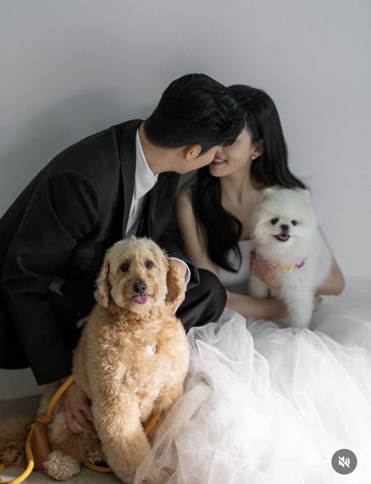 이주리, 11월 2일 결혼…선배 안혜경도 “웰컴이야”