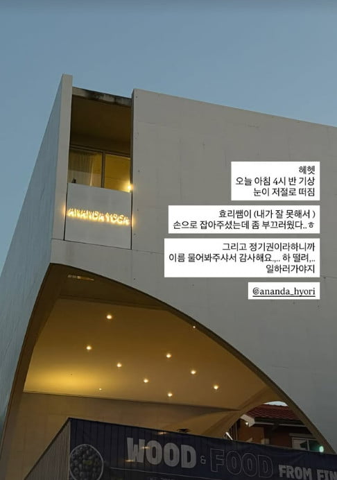 사진='아난다 효리' SNS