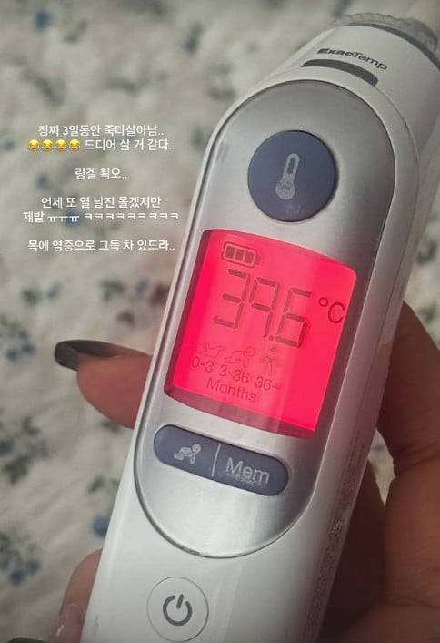 사진=자이언트 핑크 SNS