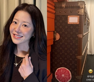 '파우치 1만원' 고현정, 검소한 줄 알았는데…8천만원 짜리 트렁크 자랑