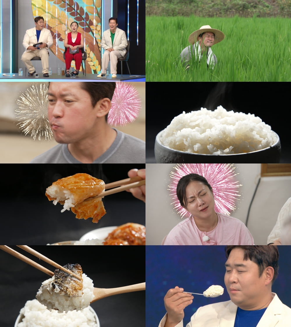 전국1등